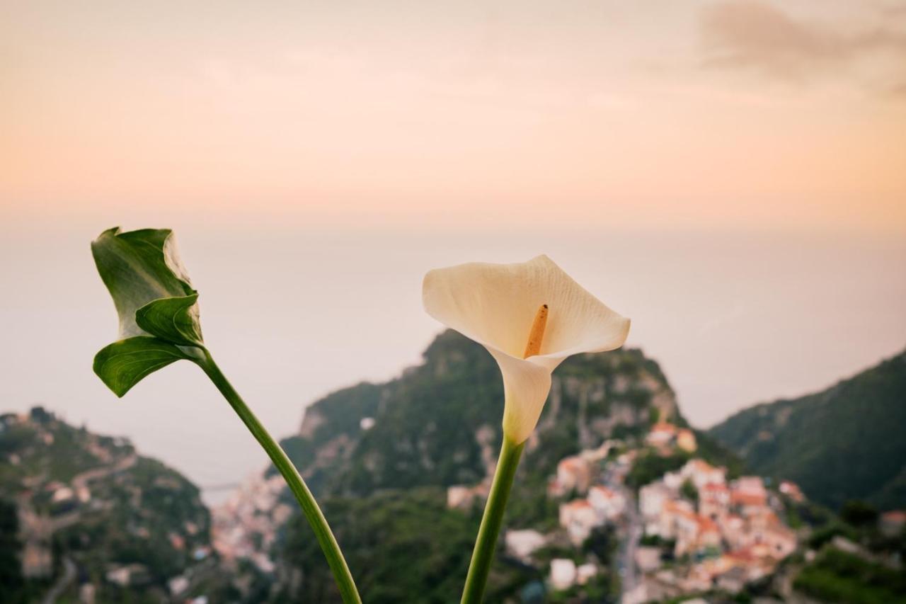 Casa Bellavista Scala Minuta Amalfi Coast Lägenhet Exteriör bild